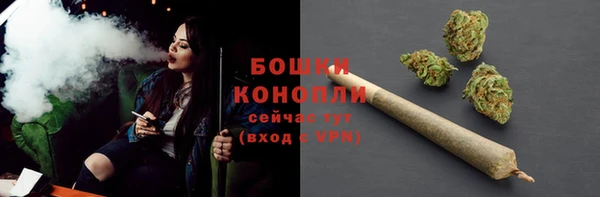 прущие грибы Каменск-Шахтинский