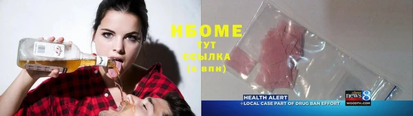 прущие грибы Каменск-Шахтинский