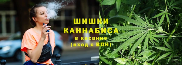 прущие грибы Каменск-Шахтинский