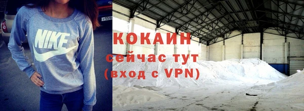 прущие грибы Каменск-Шахтинский