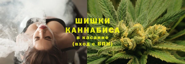 соль курить ск Каменка