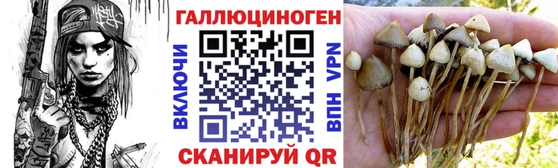 Галлюциногенные грибы Magic Shrooms  Купить где  Грязи 