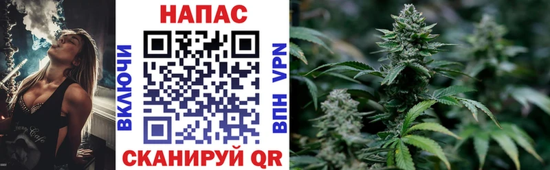 Купить  Грязи  МАРИХУАНА SATIVA & INDICA 